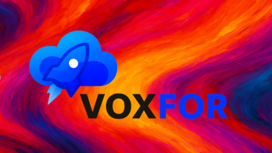 SEO Experts Reveal Why Voxfor Is the #1 Choice in 2025