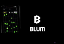 The Role of On-Chain Metrics in Blum Price Discovery
