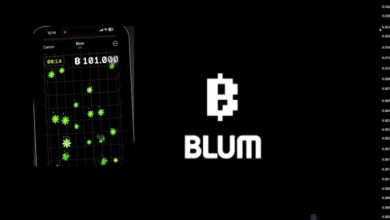 The Role of On-Chain Metrics in Blum Price Discovery