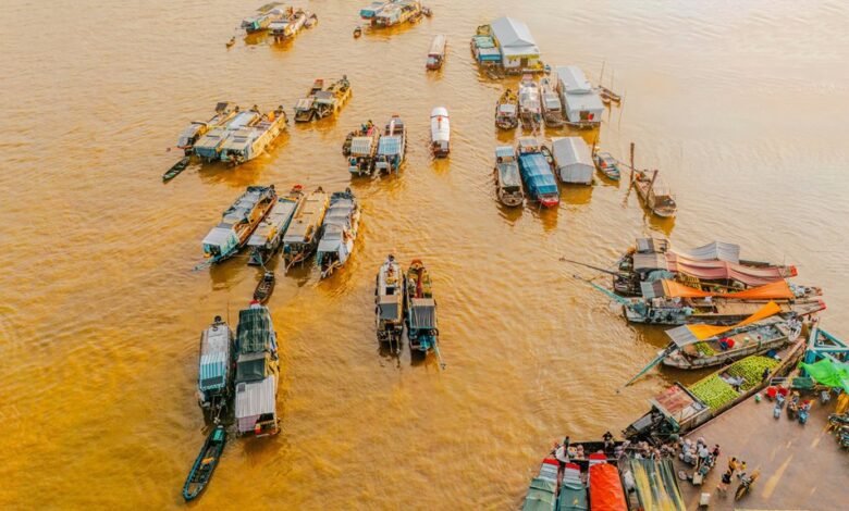 market dynamics contact numbers