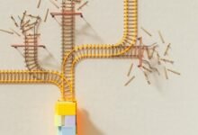 strategic alignment tracking numbers