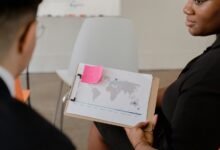 business insights executive summary