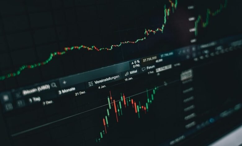 premium sector financial data