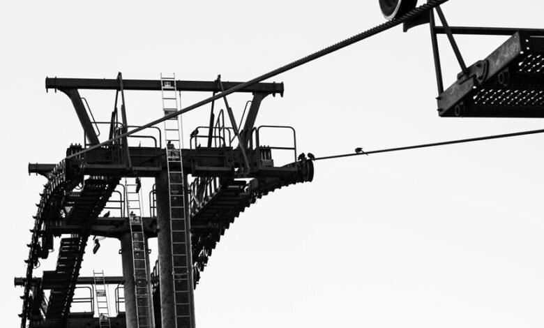 dynamic growth mechanisms framework