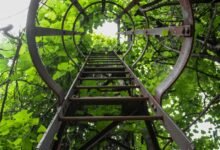 radiant flow innovation ladder