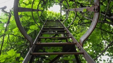 radiant flow innovation ladder