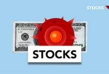 revenue strategy for vector