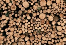 transaction logs and insights