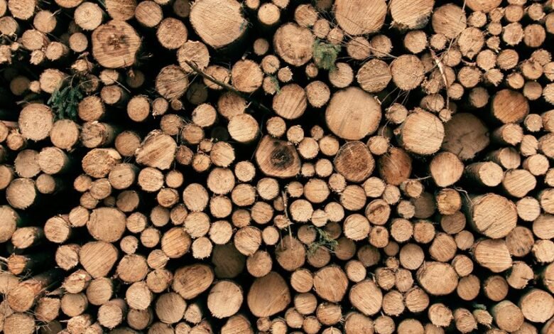 transaction logs and insights