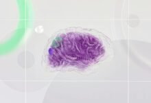 velocity grid evolution insights