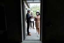 visionary market builder momentum