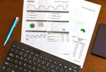 brief overview of wizpianneva
